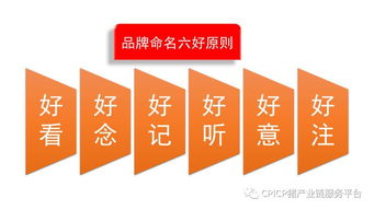 肖一刀 從無到有，打造豬肉品牌的戰(zhàn)略與啟示